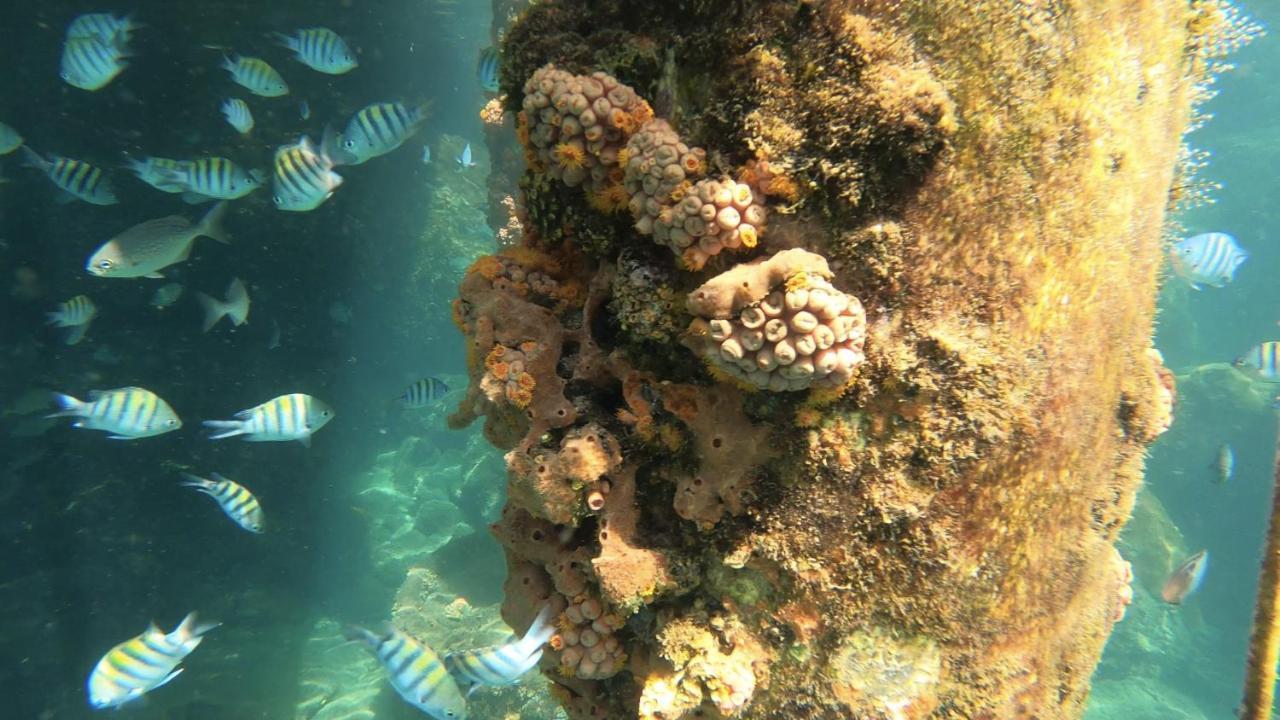 Pousada Conves - Ilha Grande Praia de Araçatiba 外观 照片