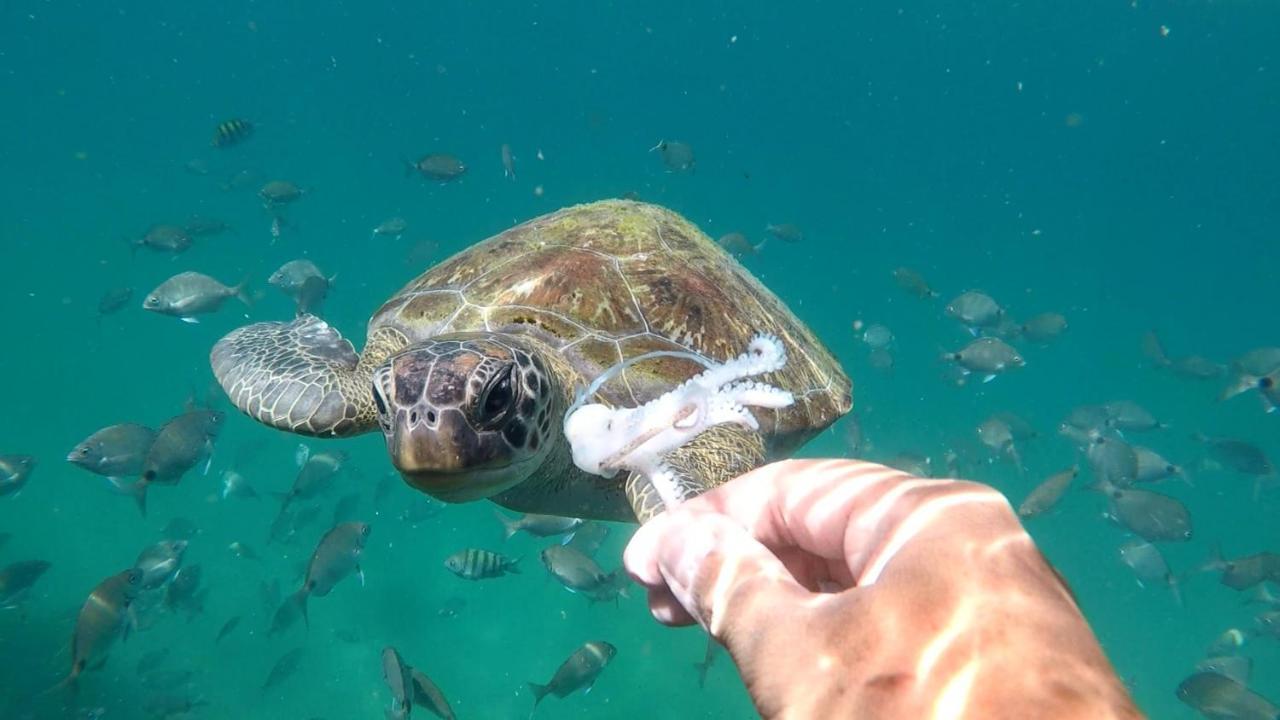 Pousada Conves - Ilha Grande Praia de Araçatiba 外观 照片